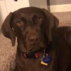 Meet your Posher, Darrellanddebbie